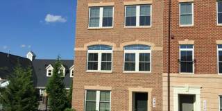 542 RUDBECKIA Place Gallery 1