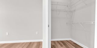 The Lena Gallery 41
