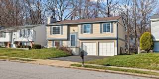 8469 RIPPLED CREEK Court Gallery 2