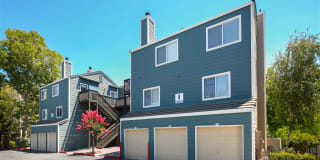 Waterscape Gallery 14