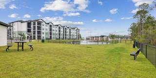 The Beacon at 331 Apartments Gallery 17