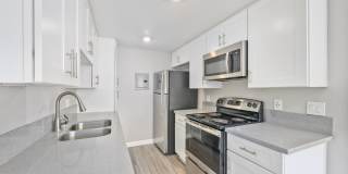 THE MODERN CACTUS Gallery 34