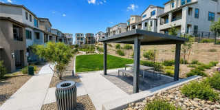 1482 Upland Sandpiper Street Gallery 43