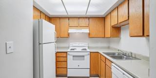 Country Woods Gallery 28