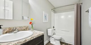 Amber Grove at Olley Creek Gallery 12