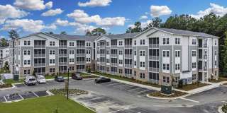 Waterleaf at Salt Creek Gallery 26