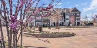 Ewing Town Center Gallery 35