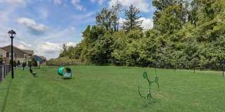 Springs at Hamburg Gallery 19