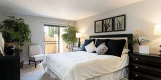 The Casas Gallery 20