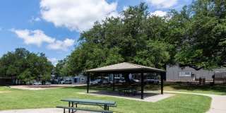 The Iris The Iris Gallery 20