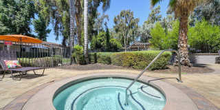 Pinewood Apartments Gallery 12