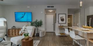 Portofino Vineyards Gallery 26