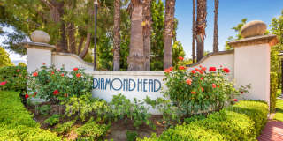 25146 Steinbeck Avenue Gallery 1