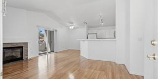 556 Yacht Harbor Drive Gallery 5