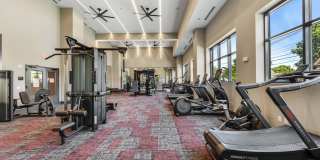 Alta French Hill Gallery 41