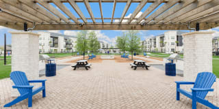 Domain Town Center Gallery 11