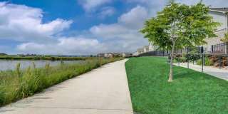 Springs at 2534 Gallery 16