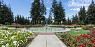 Pavona Apartments Pavona Apartments Gallery 30