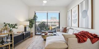 Avida Aventura Gallery 10