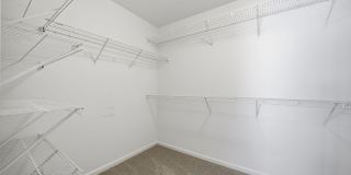 Smyrna Gem! Gallery 48