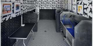 Folksong Flowery Branch Gallery 28