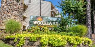 Woodland Terrace Gallery 55