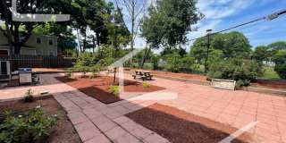 Sunny 3 Bed/ 2 Bath 15 Min Walk to Harvard Gallery 22