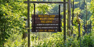 115 James Street Gallery 14