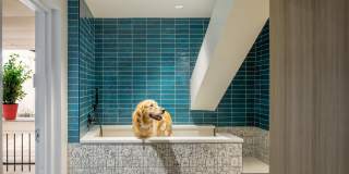 Neponset Landing Gallery 9