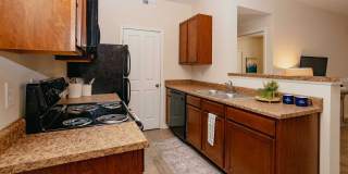 Woods at Perry Lane Gallery 19