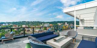 The Rodney Gallery 11