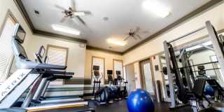 Monon Living Gallery 53