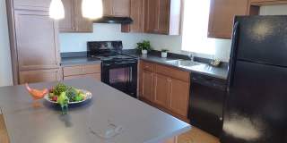 Lumien at Fitzsimons Gallery 4