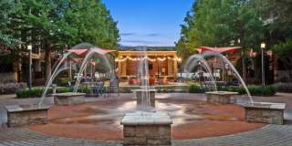 Terrawood Gallery 20