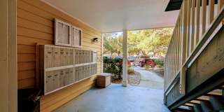 1 Bed/1 Bath, 738 Sqft - 10024 Strafford Oak Ct #815 Tampa, FL 33624 Gallery 25