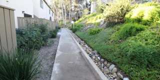 10332 Caminito Aralia Gallery 17