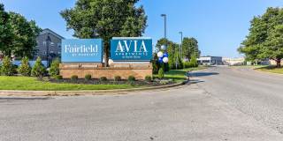 AVIA North Shore Gallery 25