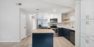 Remodeled 3BR/2BA Temple Terrace Home with Carport Gallery 11
