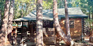 Rustic Retreat: Charming 1-Bedroom Log Cabin with Large Loft! Gallery 1