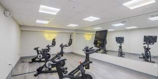 Dream Space Coast Gallery 27