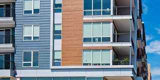 The Vue Gallery 46