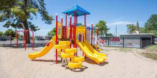 Icon on Stella Gallery 18