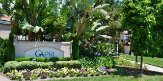 Beautiful UTC Townhome at the Renaissance Capri, with Loft, Fireplace, Garage & Resort Amenities Gallery 1