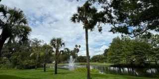 17110 CARRINGTON PARK DRIVE Gallery 18