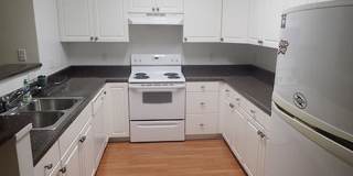 5609 Moss Vine Place Gallery 4