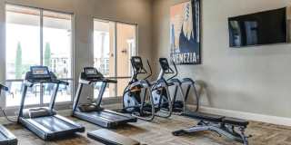 Venetian Isle Gallery 14