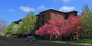 Embassy Park Apartments Gallery 29