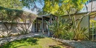 2530 Hutton Dr Gallery 3