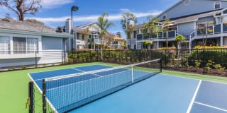 The Highlands Gallery 7