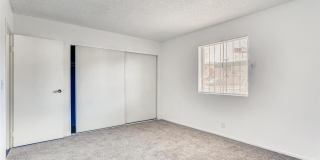 24 Rose Circle Gallery 21